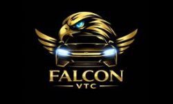 Logo Falcon VTC chauffeur privé à grenoble